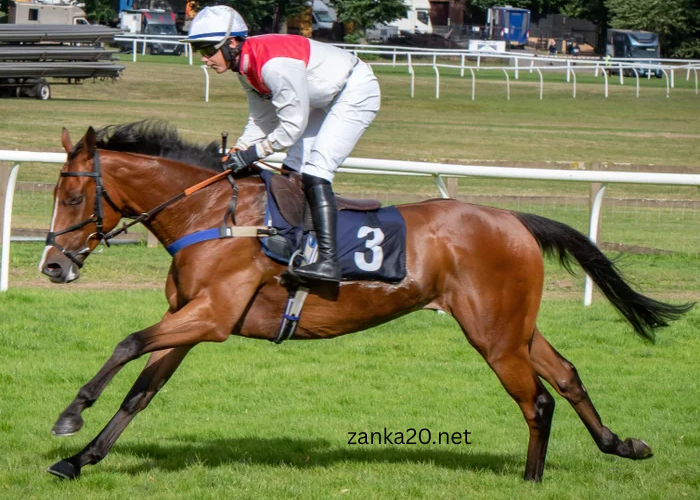 The Role of Divot Repair in Professional Horse Racing