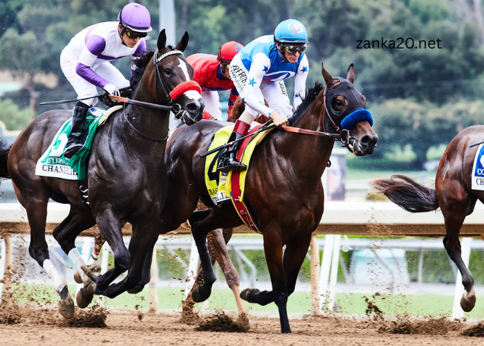 Analyzing Shear Strength in Racing Turf