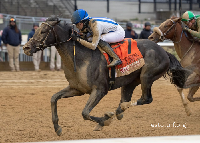 Understanding Class Drops in Turf Claiming Races