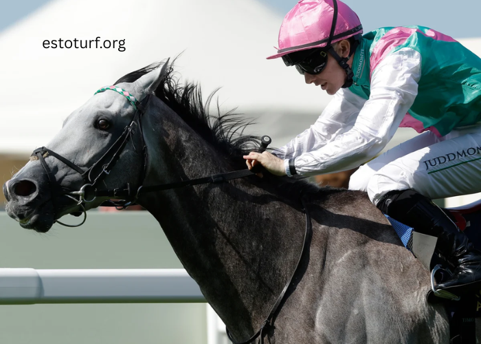 The Magic of Royal Ascot: A Week of Elite Turf Racing